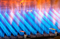 Bruern Abbey gas fired boilers